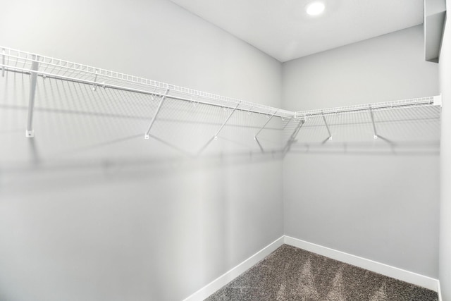 6450 Inspire Cir S, Cottage Grove, MN 55016 - spacious closet with dark colored carpet