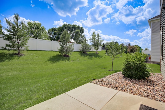 6450 Inspire Cir S, Cottage Grove, MN 55016 - view of yard featuring a patio