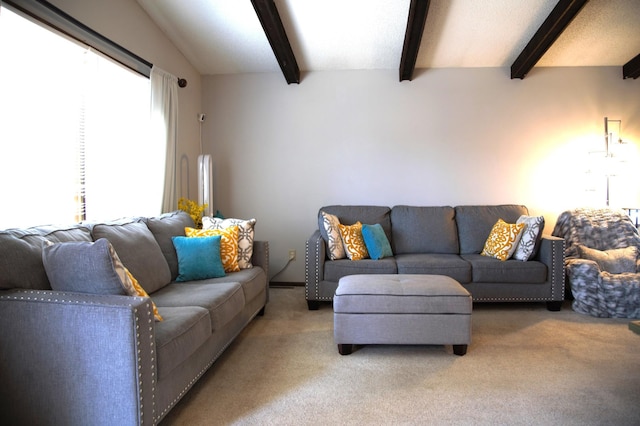 8301 Sumter Ave N, Brooklyn Park, MN 55445 - living area with light colored carpet and beam ceiling