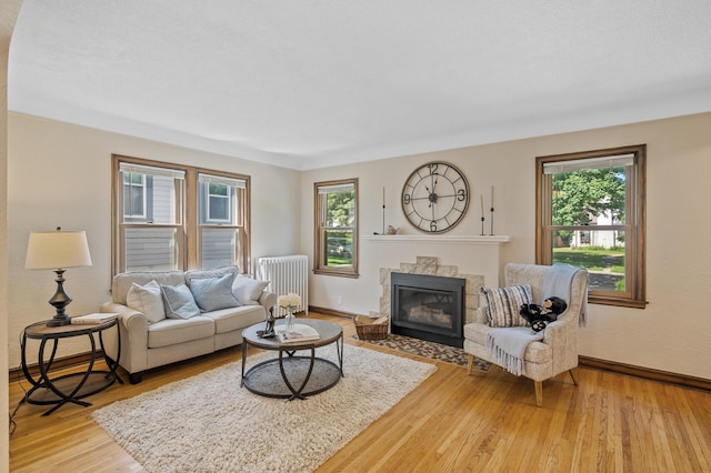 5321 Park Ave, Minneapolis, MN 55417 - living room with radiator, healthy amount of natural light, light wood-style floors, and a fireplace with flush hearth