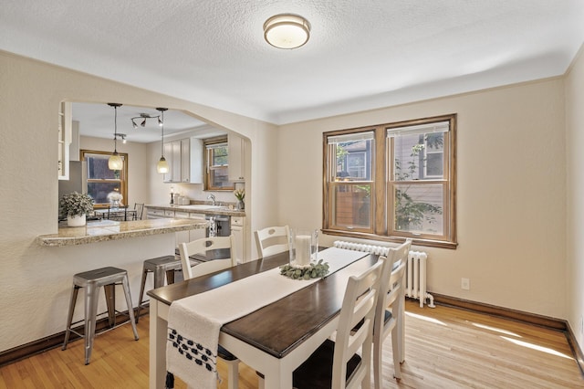 5321 Park Ave, Minneapolis, MN 55417 - dining space featuring radiator heating unit, light wood finished floors, and a textured ceiling