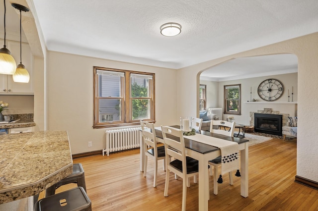 5321 Park Ave, Minneapolis, MN 55417 - dining area featuring radiator heating unit, arched walkways, a fireplace, and light wood-type flooring