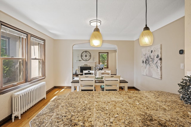 5321 Park Ave, Minneapolis, MN 55417 - dining area featuring radiator heating unit, a fireplace, light wood-style flooring, arched walkways, and a textured ceiling