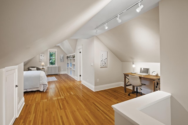 5321 Park Ave, Minneapolis, MN 55417 - bedroom featuring radiator heating unit, rail lighting, lofted ceiling, and light wood-style flooring