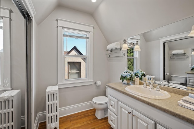 5321 Park Ave, Minneapolis, MN 55417 - bathroom with radiator heating unit, wood finished floors, vanity, and vaulted ceiling