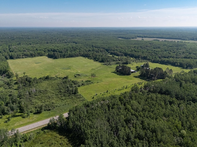 6770 County Road 65 NE, Deer River, MN 56636 - drone / aerial view of a forest