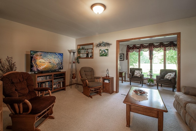 6770 County Road 65 NE, Deer River, MN 56636 - living area with carpet