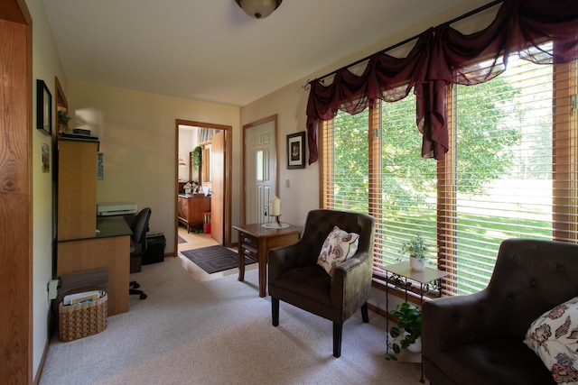 6770 County Road 65 NE, Deer River, MN 56636 - living area featuring light colored carpet and a desk