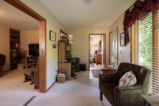 6770 County Road 65 NE, Deer River, MN 56636 - living area featuring an office area and carpet floors