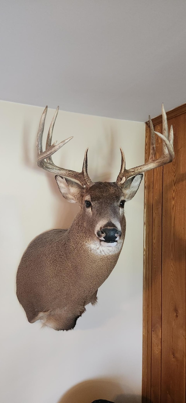 6770 County Road 65 NE, Deer River, MN 56636 - detailed view