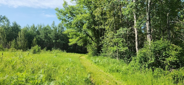 6770 County Road 65 NE, Deer River, MN 56636 - view of wooded area
