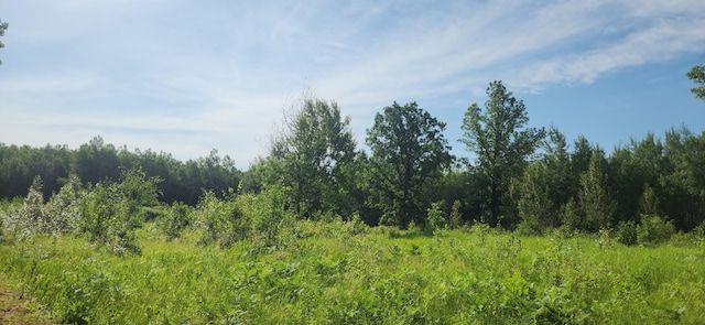 6770 County Road 65 NE, Deer River, MN 56636 - view of woods
