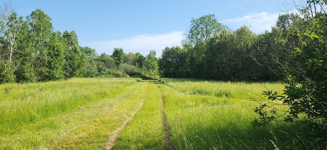 6770 County Road 65 NE, Deer River, MN 56636 - view of tree filled area