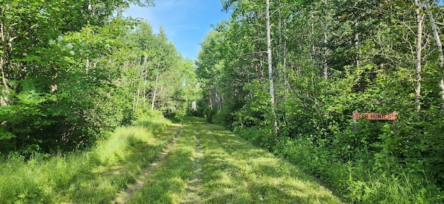 6770 County Road 65 NE, Deer River, MN 56636 - view of wooded area