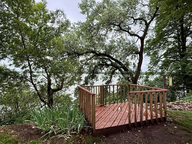 14 Silvers Resort, Elysian, MN 56028 - view of wooden deck
