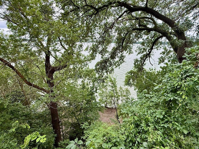 14 Silvers Resort, Elysian, MN 56028 - view of nature