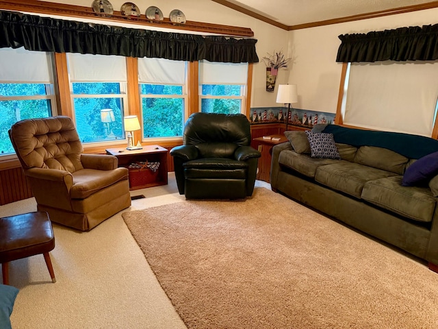 14 Silvers Resort, Elysian, MN 56028 - living room featuring carpet flooring, vaulted ceiling, ornamental molding, wainscoting, and radiator heating unit