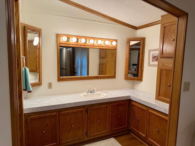 14 Silvers Resort, Elysian, MN 56028 - bathroom with vanity, ornamental molding, wood finished floors, and a textured ceiling