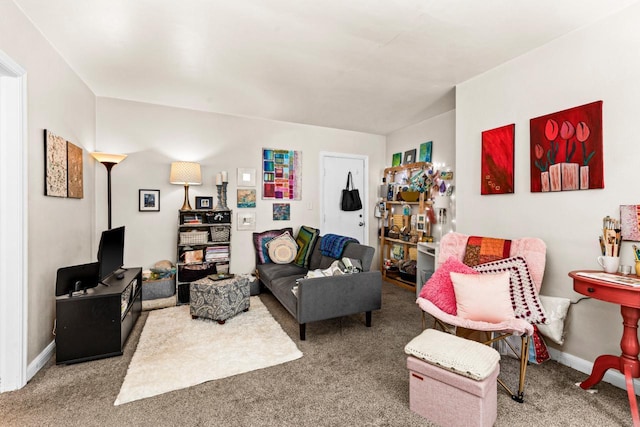 702 11th St, Duluth, MN 55805 - living area featuring carpet floors and baseboards