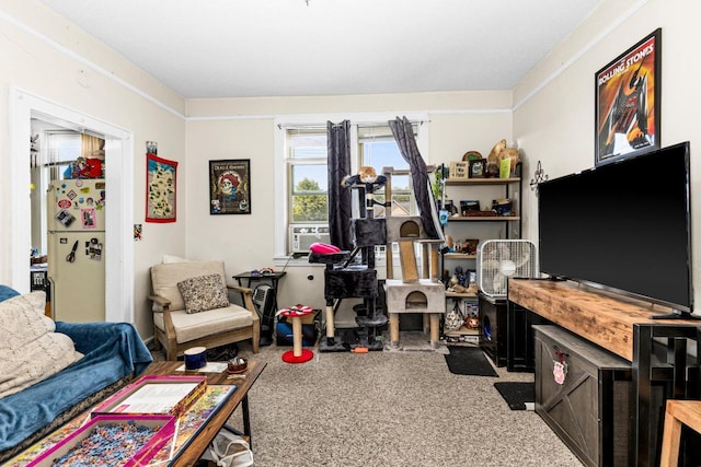 702 11th St, Duluth, MN 55805 - living area with cooling unit and carpet