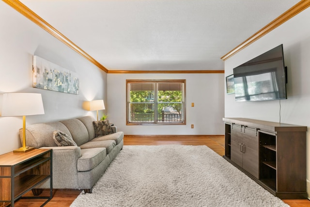 1414 20th Ave NE, Rochester, MN 55906 - photo 6