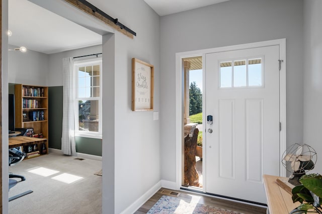 1126 Stonebridge Path, Jordan, MN 55352 - entryway featuring healthy amount of natural light and a barn door