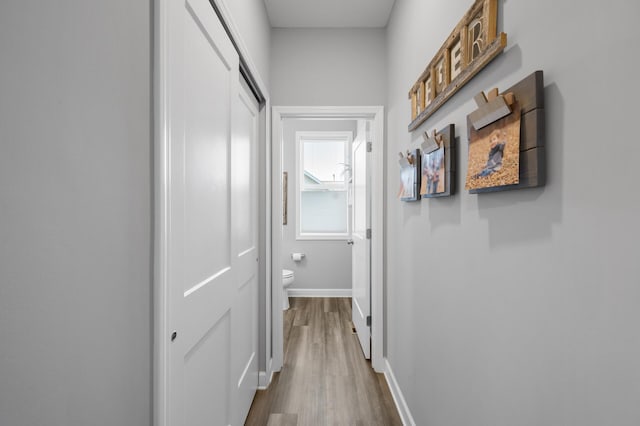 1126 Stonebridge Path, Jordan, MN 55352 - hallway with dark wood-style floors and baseboards