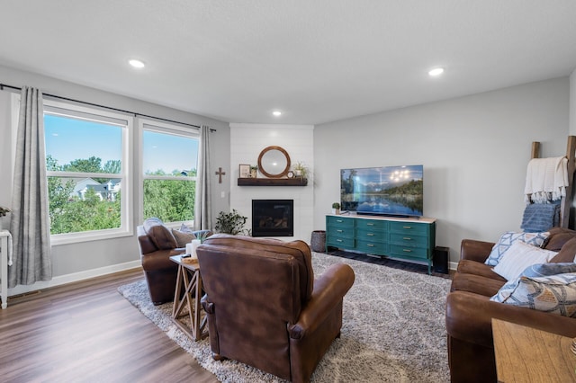 1126 Stonebridge Path, Jordan, MN 55352 - living room with wood finished floors, a fireplace, and recessed lighting