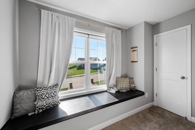 1126 Stonebridge Path, Jordan, MN 55352 - living area with carpet floors and baseboards