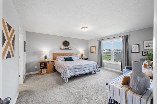 1126 Stonebridge Path, Jordan, MN 55352 - bedroom with carpet flooring and a textured ceiling