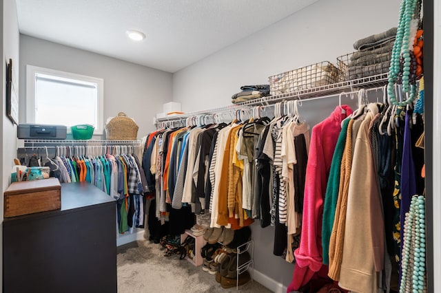 1126 Stonebridge Path, Jordan, MN 55352 - spacious closet with carpet flooring