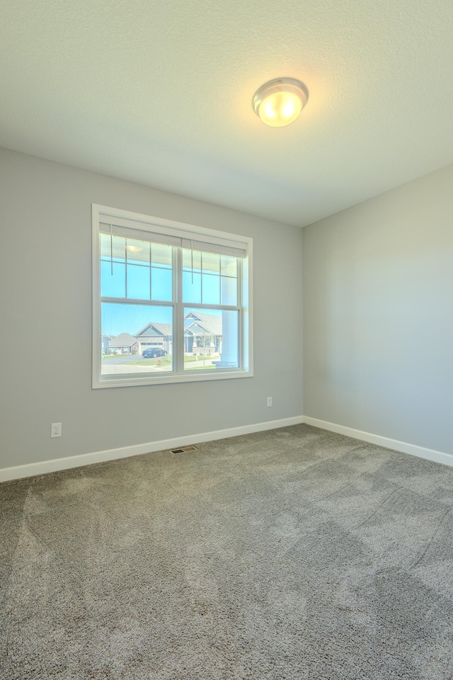 8251 62nd St, Bay South, Cottage Grove, MN 55016 - unfurnished room featuring carpet floors