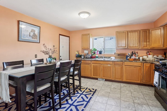 3825 2 1/2 St NE, Columbia Heights, MN 55421 - kitchen with range and a sink