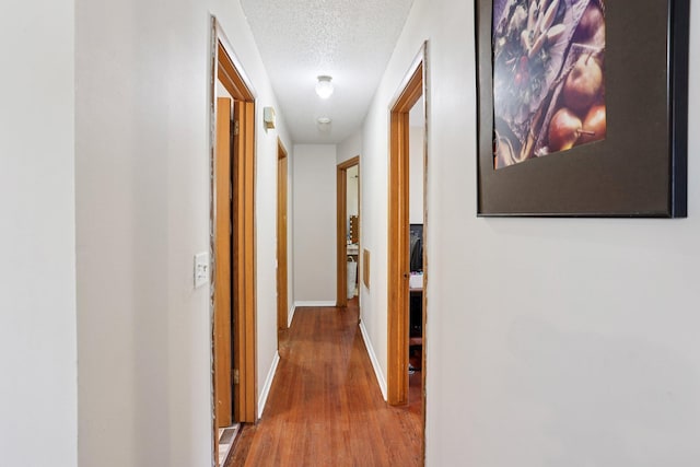 3825 2 1/2 St NE, Columbia Heights, MN 55421 - corridor with a textured ceiling and wood finished floors