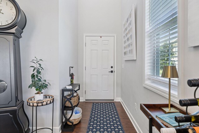 4297 Corn Silk Ln, Woodbury, MN 55129 - entryway with dark wood finished floors and baseboards