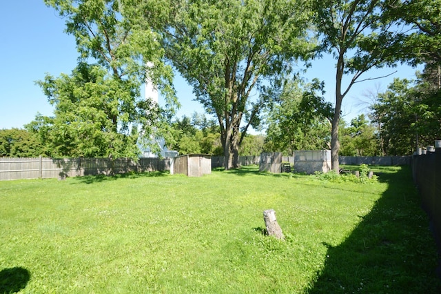 506 3rd Ave NW, Dodge Center, MN 55927 - view of fenced backyard