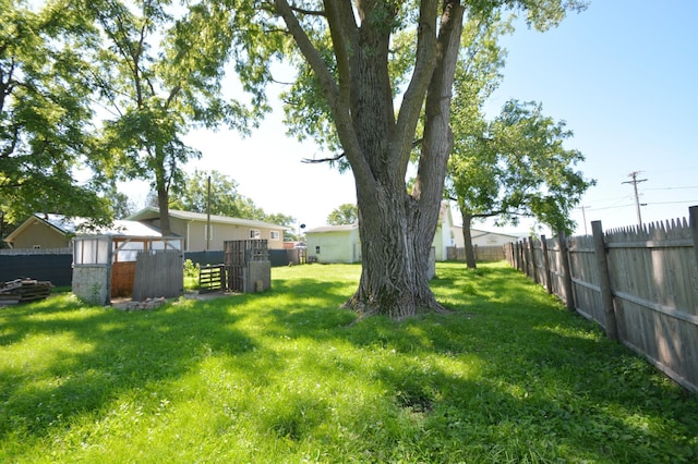 506 3rd Ave NW, Dodge Center, MN 55927 - view of yard