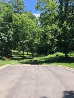 TBD Saratoga St, Mankato, MN 56001 - photo 1
