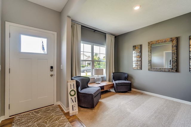 12403 81st St NE, Otsego, MN 55330 - foyer entrance featuring healthy amount of natural light