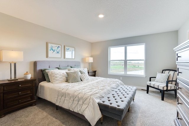 12403 81st St NE, Otsego, MN 55330 - carpeted bedroom featuring baseboards