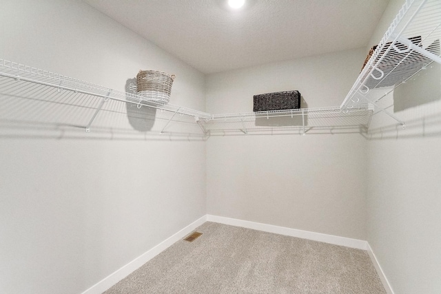 12403 81st St NE, Otsego, MN 55330 - walk in closet with light carpet
