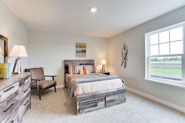 12403 81st St NE, Otsego, MN 55330 - bedroom with light colored carpet