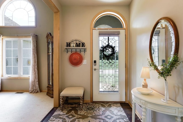 2064 141st Ln NE, Ham Lake, MN 55304 - foyer featuring plenty of natural light