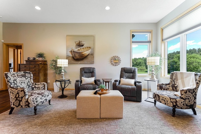 2064 141st Ln NE, Ham Lake, MN 55304 - sitting room featuring carpet floors and recessed lighting