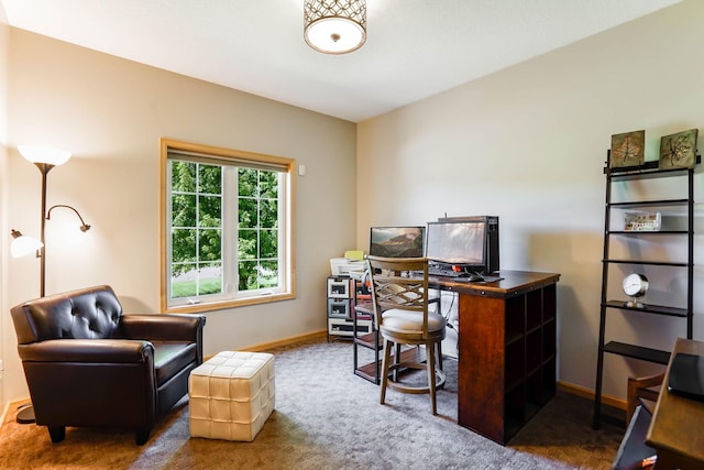 2064 141st Ln NE, Ham Lake, MN 55304 - home office featuring carpet flooring and baseboards