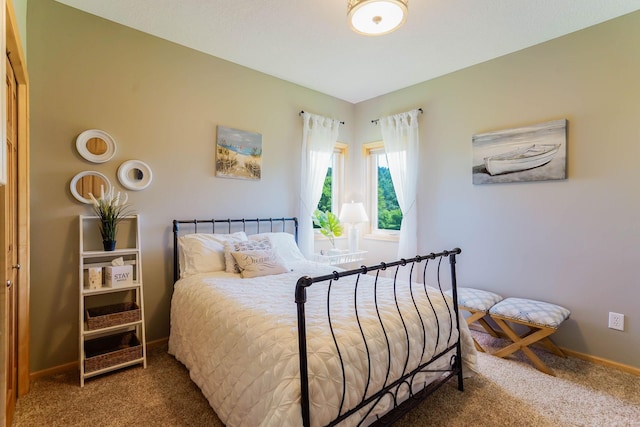 2064 141st Ln NE, Ham Lake, MN 55304 - bedroom with carpet floors