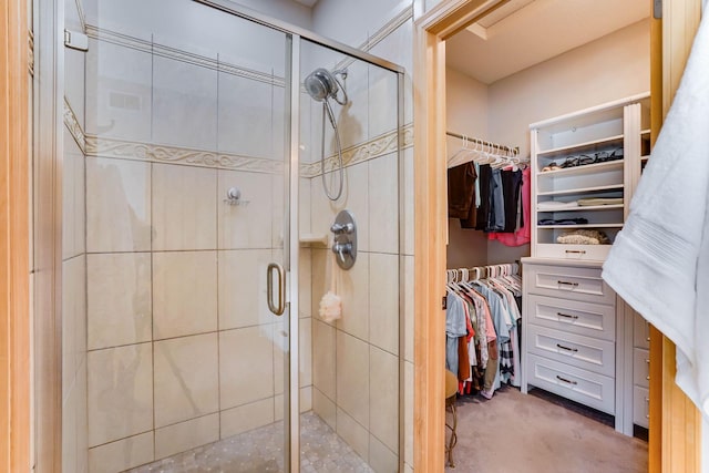 2064 141st Ln NE, Ham Lake, MN 55304 - bathroom featuring a spacious closet and a shower stall
