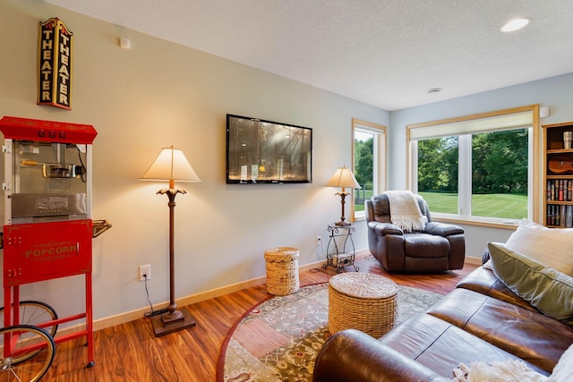 2064 141st Ln NE, Ham Lake, MN 55304 - living area featuring wood finished floors and a textured ceiling
