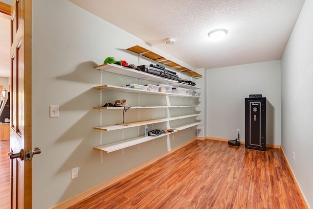 2064 141st Ln NE, Ham Lake, MN 55304 - view of storage