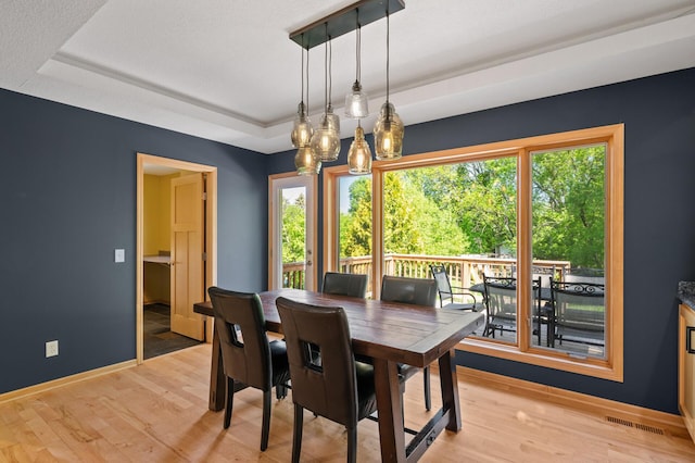 9610 28th Ave N, Plymouth, MN 55441 - dining area with a raised ceiling and light wood-style floors